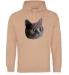 Мужская толстовка (худи) Кіт дивиться Песочный фото