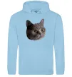 Мужская толстовка (худи) Кіт дивиться Голубой фото