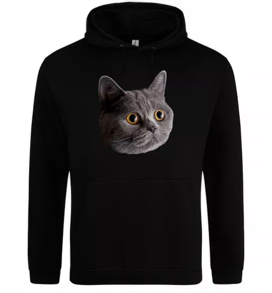 Жіноча толстовка (худі) Кіт дивиться Чорний фото