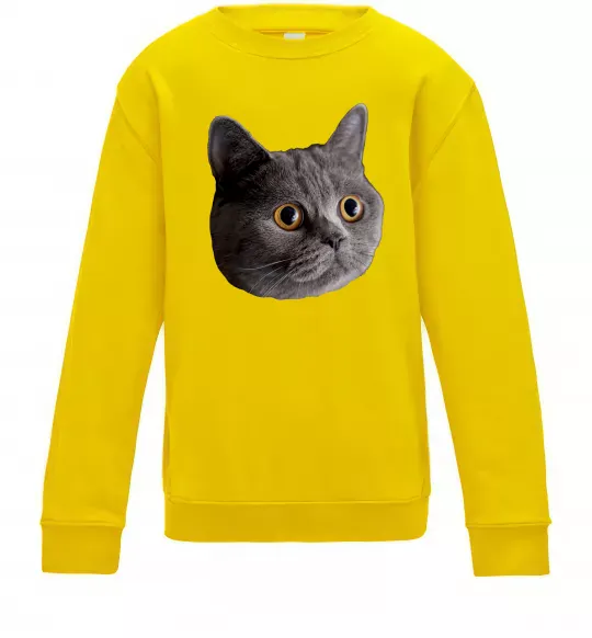 Детский Свитшот Кіт дивиться Солнечно желтый фото