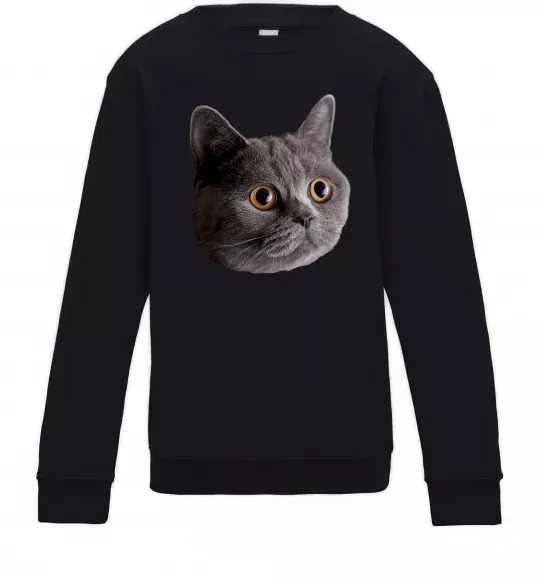 Детский Свитшот Кіт дивиться Черный фото