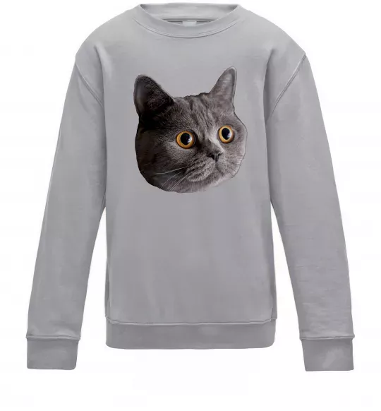 Детский Свитшот Кіт дивиться Серый меланж фото