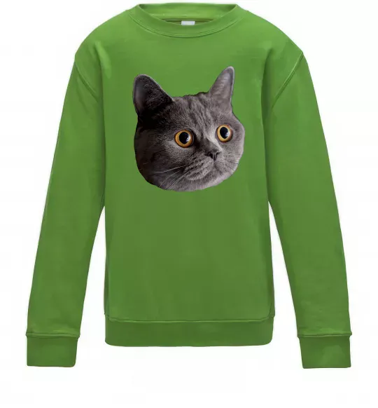 Детский Свитшот Кіт дивиться Лаймовый фото