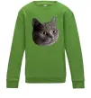Детский Свитшот Кіт дивиться Лаймовый фото