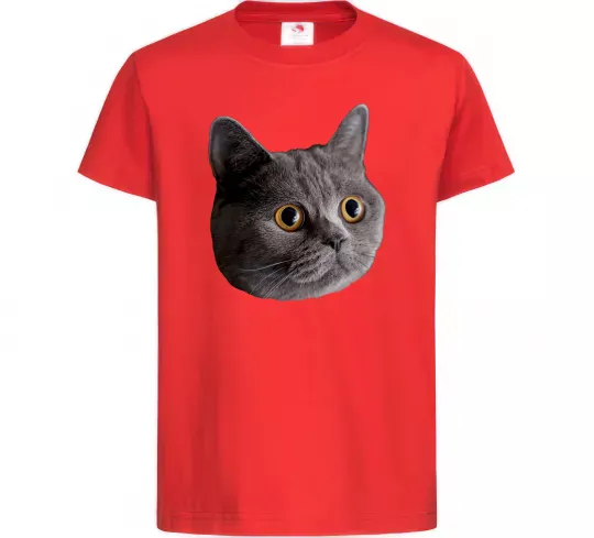 Дитяча футболка Кіт дивиться Червоний фото