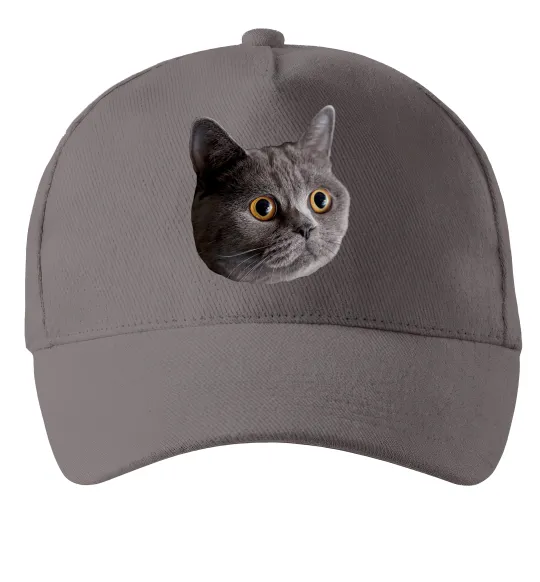 Кепка Кіт дивиться Серый фото