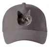 Кепка Кіт дивиться Серый фото