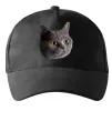 Кепка Кіт дивиться Чорний фото