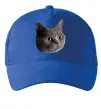 Кепка Кіт дивиться Яскраво-синій фото