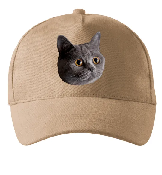 Кепка Кіт дивиться Песочный фото