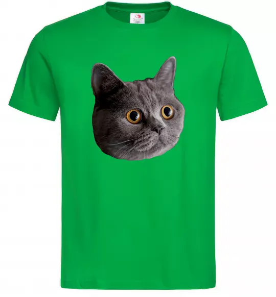 Чоловіча футболка Кіт дивиться Зелений фото
