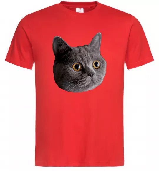 Чоловіча футболка Кіт дивиться Червоний фото