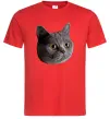 Чоловіча футболка Кіт дивиться Червоний фото