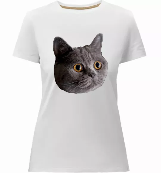 Жіноча преміум футболка Кіт дивиться Білий фото