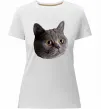 Жіноча преміум футболка Кіт дивиться Білий фото