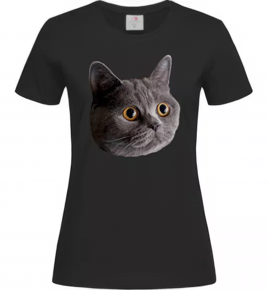 Жіноча футболка Кіт дивиться Чорний фото