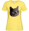 Жіноча футболка Кіт дивиться Лимонний фото