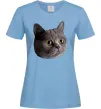 Жіноча футболка Кіт дивиться Блакитний фото