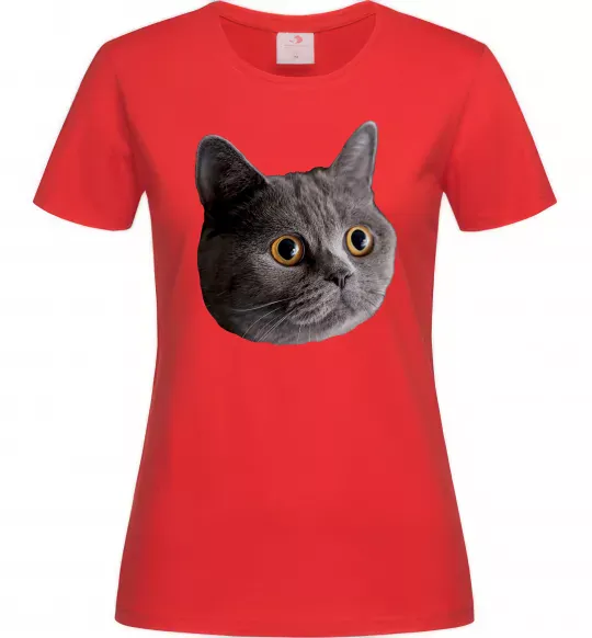 Жіноча футболка Кіт дивиться Червоний фото