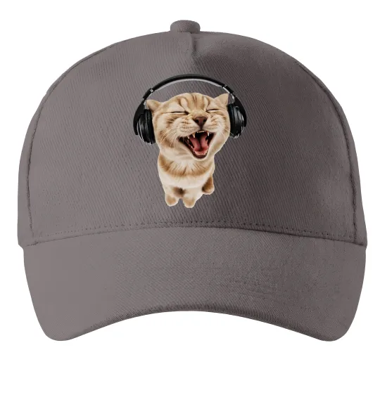 Кепка Кіт в навушниках Серый фото