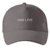 Кепка Lincoln one love Серый фото