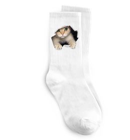 Шкарпетки Кіт крізь дірку