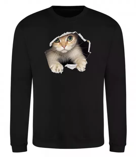 Свитшот Кіт крізь дірку Черный фото