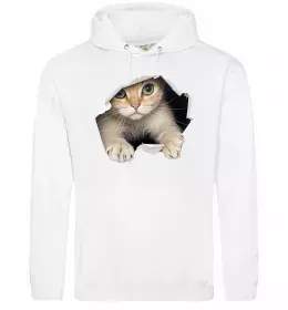 Мужская толстовка (худи)