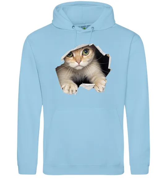 Мужская толстовка (худи) Кіт крізь дірку Голубой фото