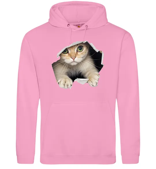 Женская толстовка (худи) Кіт крізь дірку Розовый фото