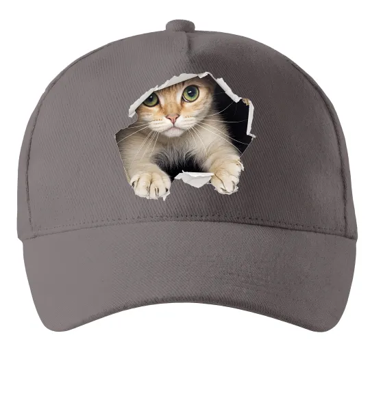 Кепка Кіт крізь дірку Серый фото