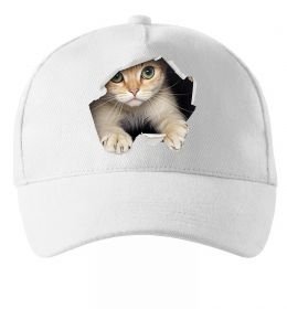Кепка Кіт крізь дірку