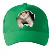 Кепка Кіт крізь дірку Зеленый фото