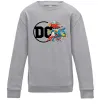 Детский Свитшот DC ліга справедливості Серый меланж фото