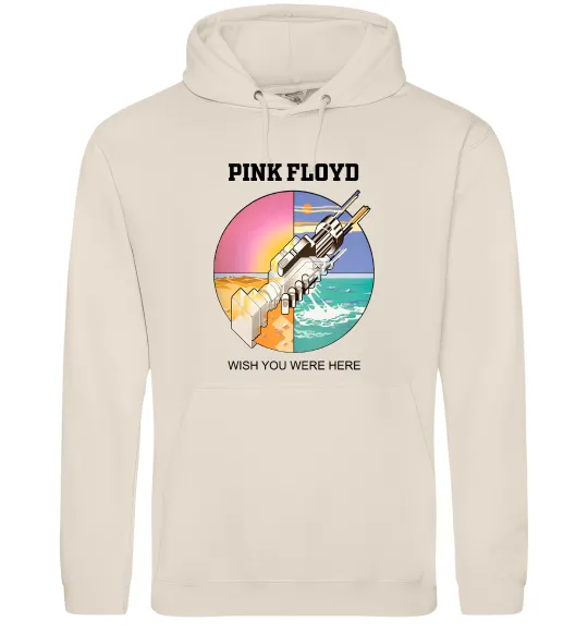 Мужская толстовка (худи) Wish you were here Pink Floyd Таш фото
