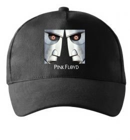 Кепка The Division Bell Кепка The Division Bell