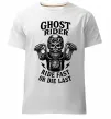 Мужская премиум футболка Ghost rider Белый фото