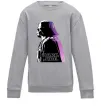 Детский Свитшот Dark Side Star Wars Серый меланж фото