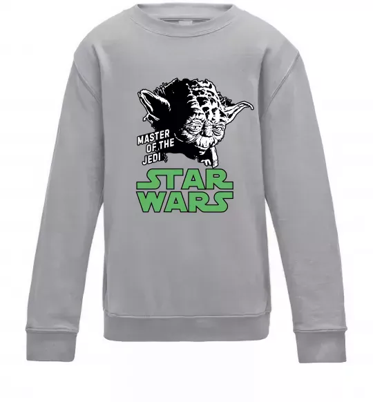 Детский Свитшот Master of the Jedi Серый меланж фото