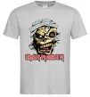Мужская футболка Iron Maiden Trooper skull Серый фото