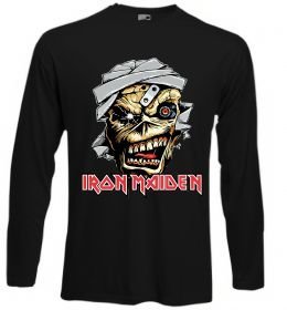 Лонгслів Iron Maiden Trooper skull