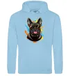 Мужская толстовка (худи) French bulldog sunglasses Голубой фото