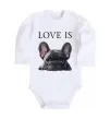 Дитячий бодік Love is frenchie Білий фото