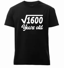 Мужская премиум футболка