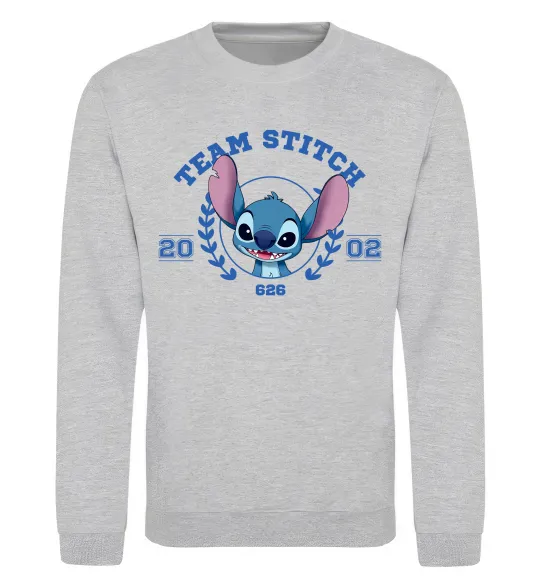 Свитшот Team stitch Серый меланж фото
