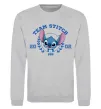Свитшот Team stitch Серый меланж фото