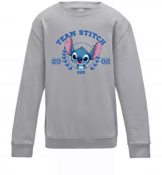 Детский Свитшот Team stitch Серый меланж фото