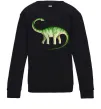 Детский Свитшот Апатозавр Черный Детский Свитшот Апатозавр Черный фото