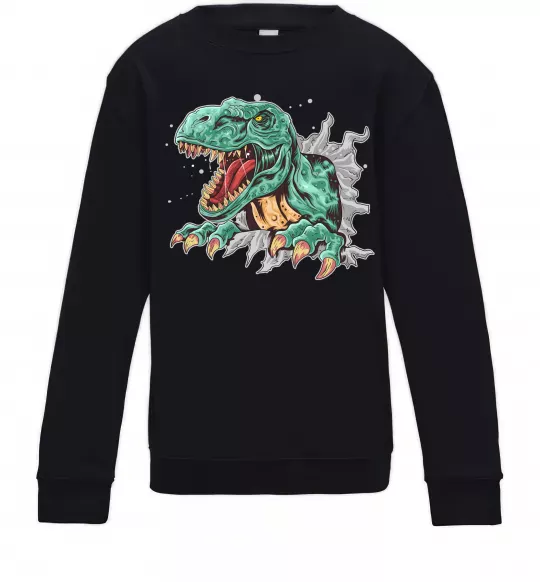 Детский Свитшот Динозавр Рекс Черный фото