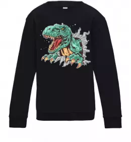 Детский Свитшот Динозавр Рекс Черный фото